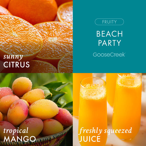 Beach Party 3-Wick Candle